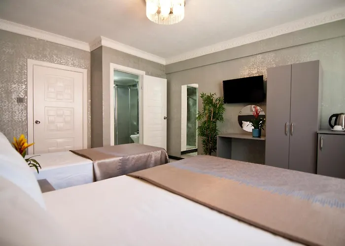 فندق مبيت وإفطار Gzh Park Bosphorus اسطنبول