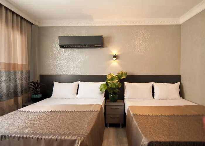 فندق مبيت وإفطار Gzh Park Bosphorus